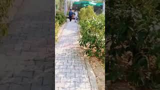 Punjab Patiala Zoo#Part 2#Short Video