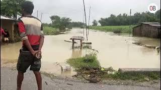 बिहिबार बिहानदेखि परेको अविरल वर्षाको कारण विराटनगर केसलिया पारी  भिमपुरको अवस्था