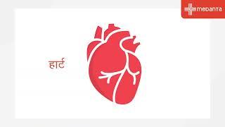 क्या है (ECMO) एक्स्ट्राकॉर्पोरियल मेम्ब्रेन ऑक्सीजनेशन? | डॉ. धनेश भारद्वाज | मेदांता, गुरुग्राम