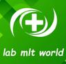 user_Lab mlt world