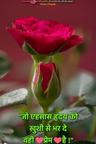 user_Dinesh Purohit