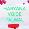 user_Haryana Voice Palwal