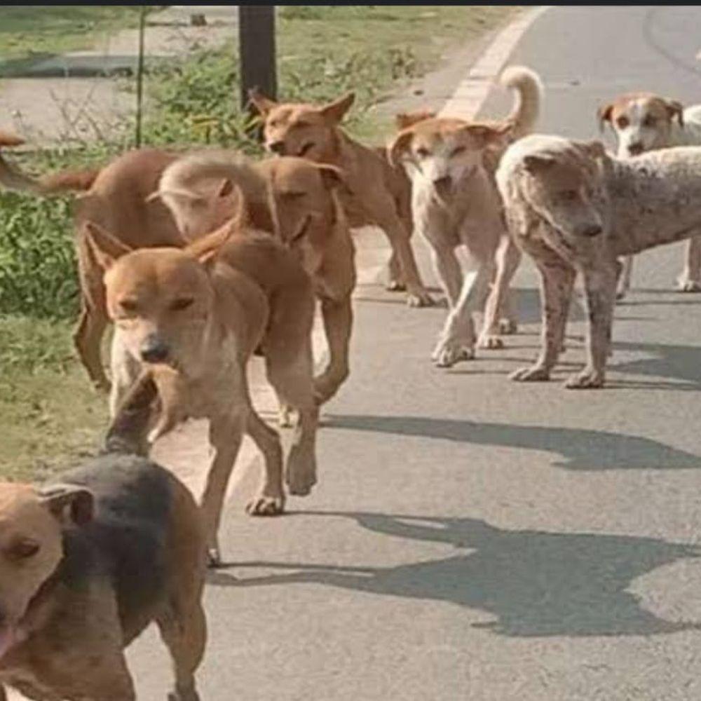 dbd503a7-ff6c-404c-be2e-dcd705c66f27