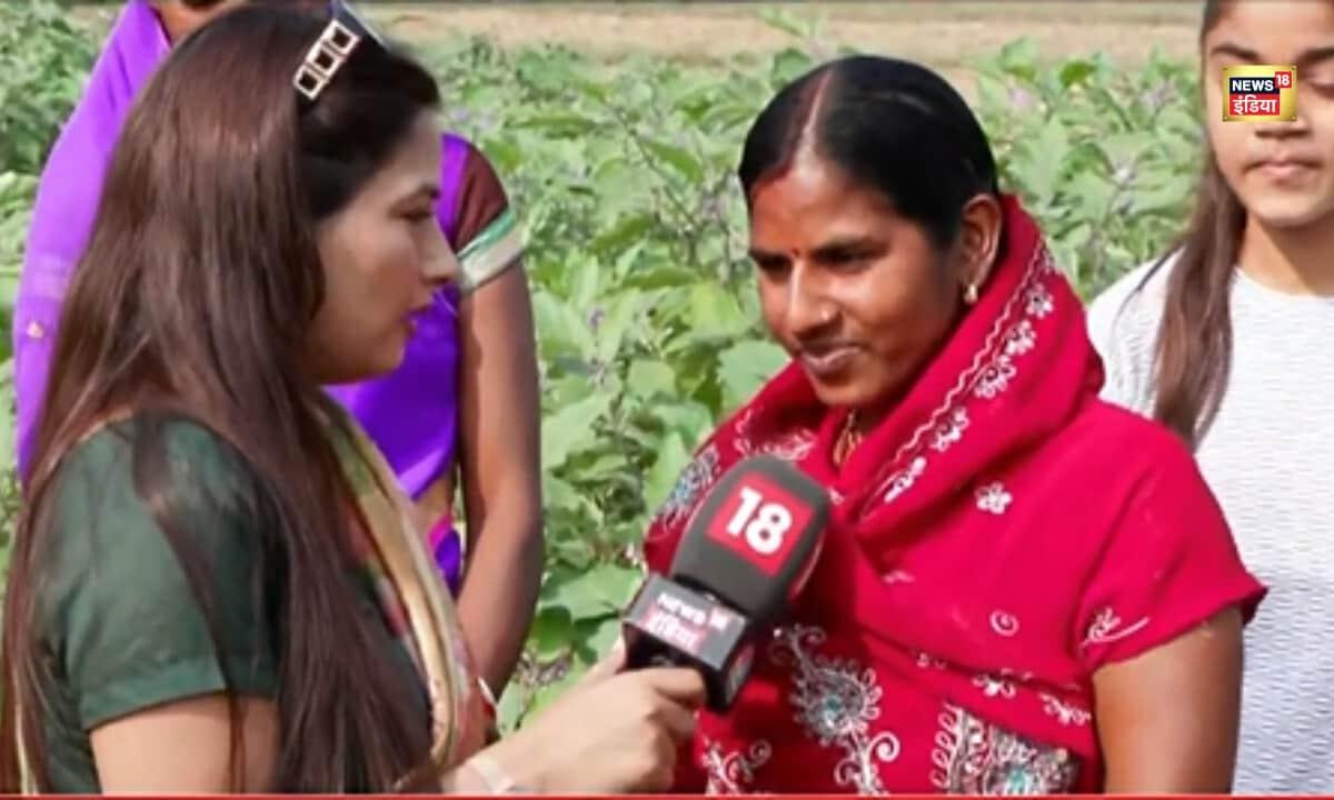 ced845b4-4417-441a-86c9-80107ae987ce