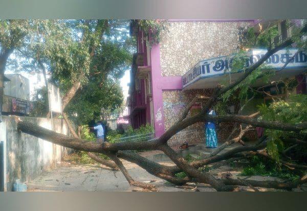 0e125d0b-4116-4d52-8f42-63e12fc935d6