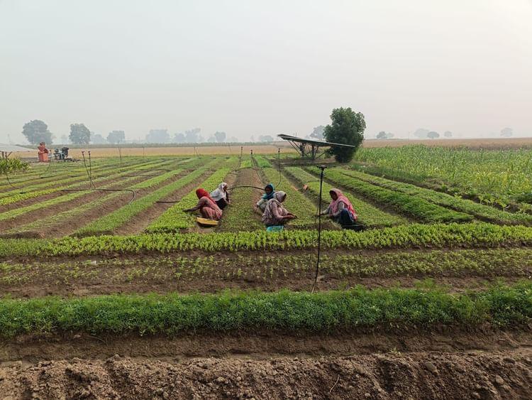 e4f7c0c5-0fb9-4f78-874f-cf445ec4882d