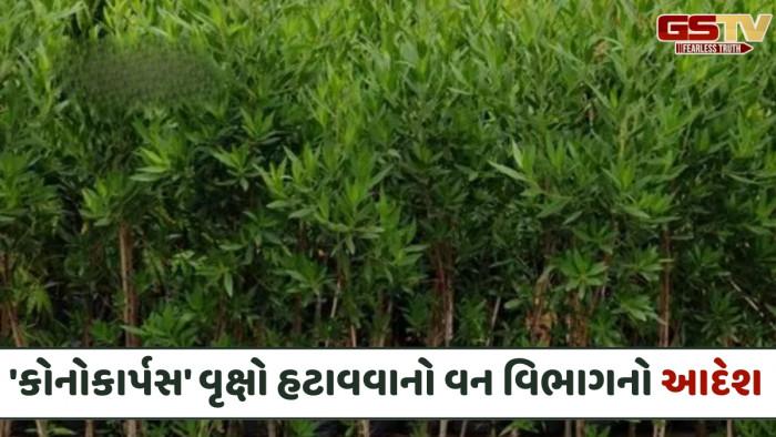 17211f14-0c58-4b38-b3e5-780c00a5b244