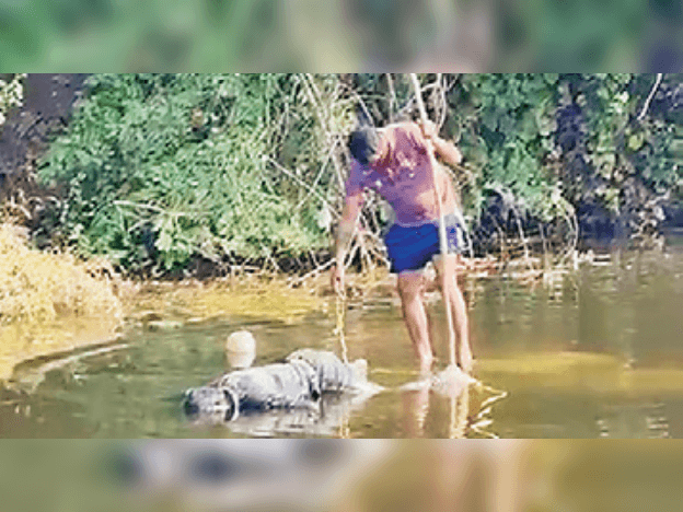 99f5ca03-b85c-47f1-ab7f-74f823f6c1ba