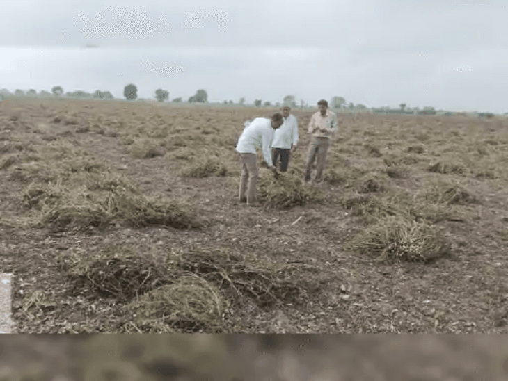 25a687be-2366-4d15-922c-994959299324