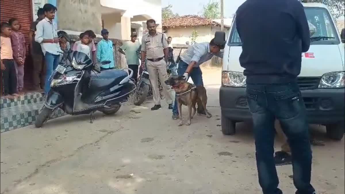 23e4aea4-d52c-4e06-948b-7038d15f7ef3