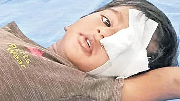 95133641-0c24-4e6f-bd4c-a8daeecc8f32