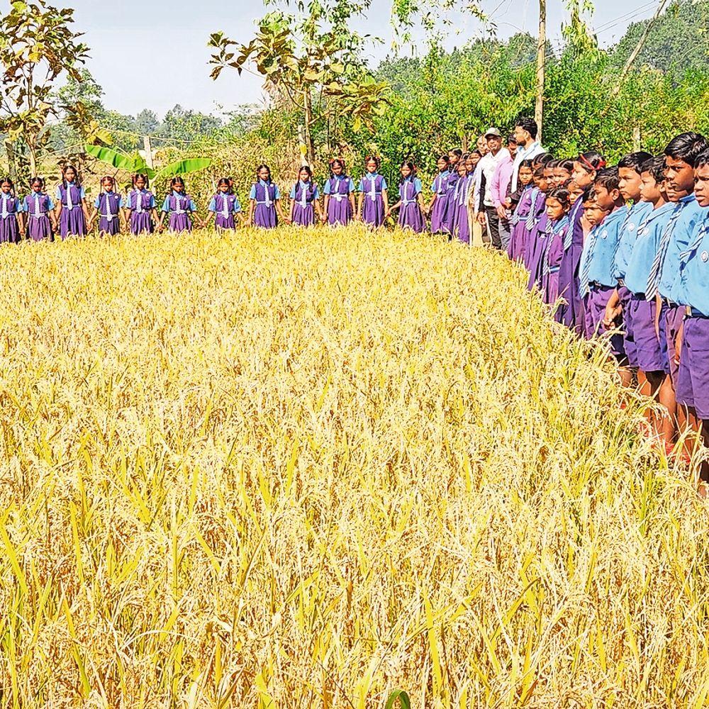 44812fcb-eb02-4e62-b523-c634a3314412