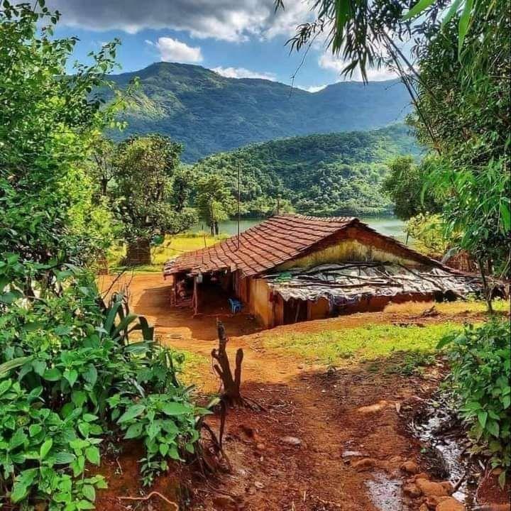 44561532-02a0-4d83-976b-3947d0aa4487