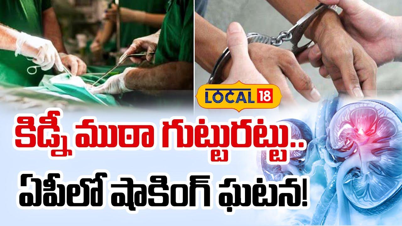 dafdb3f0-3075-4b8d-8015-07602aceb3e3