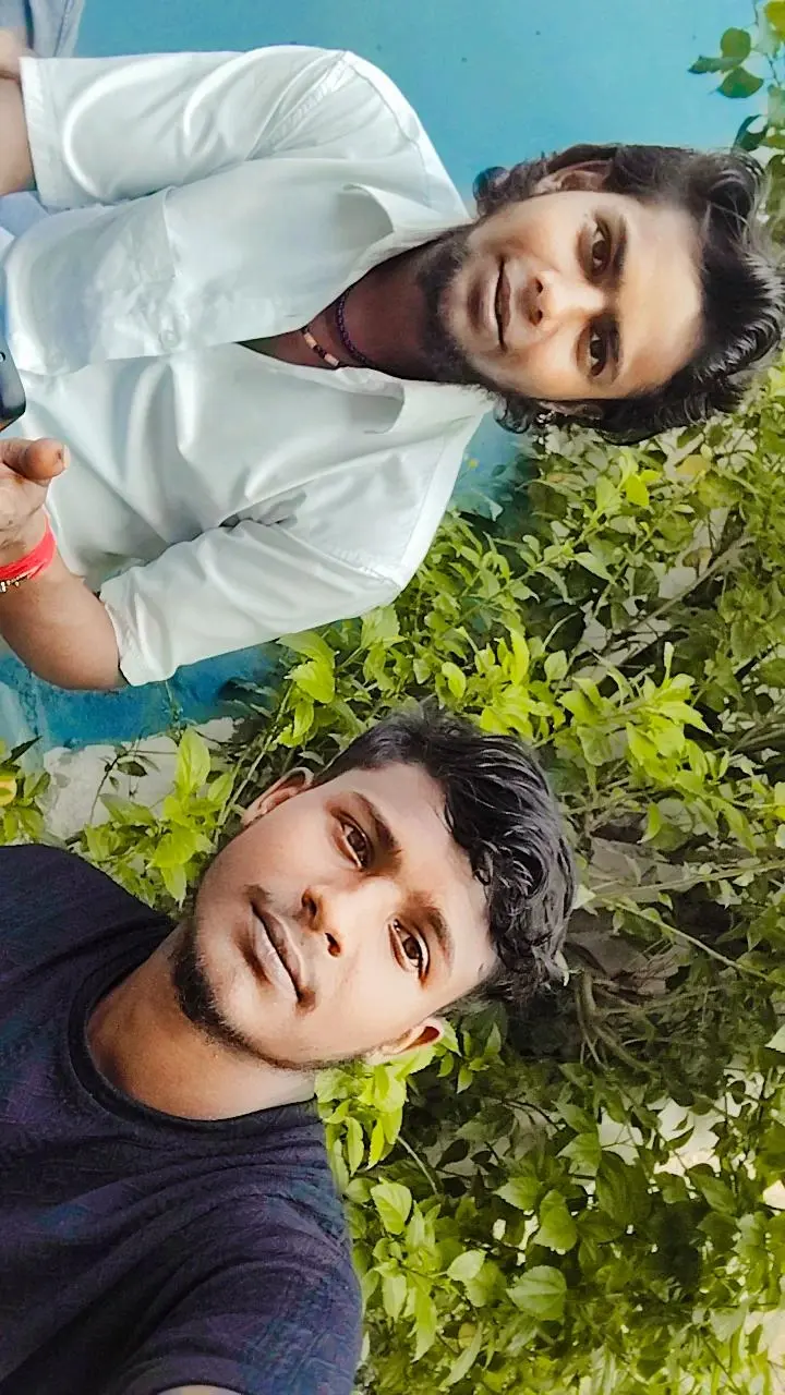 36bcfb4d-773f-462c-ad85-f2340cf7c9ea