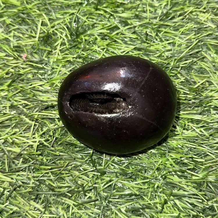 Damodar Shaligram Bhagwan