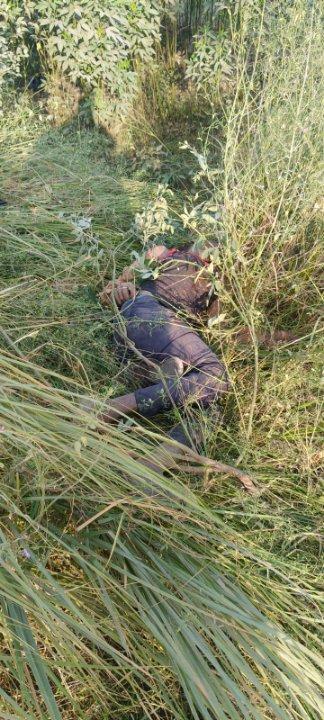 01e67d8e-f190-4489-93a5-a368aaf472a7