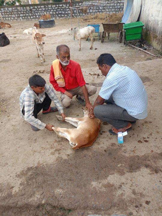 0c76718a-55a6-40ef-aa26-a8074bba2a2d