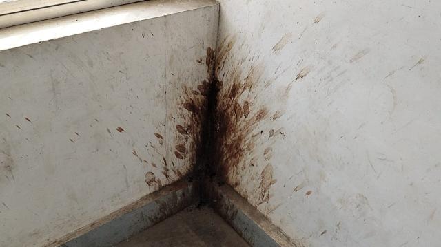 271c5e76-0244-4ec1-81e8-58da201ce098