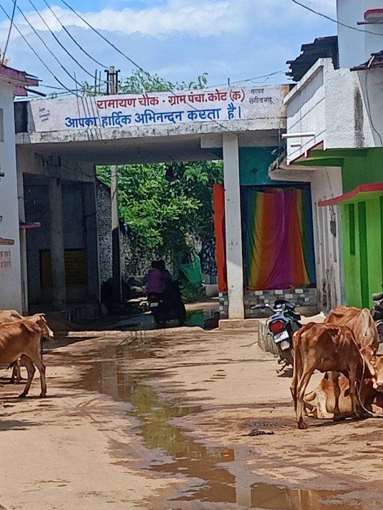 396efc96-bbb9-423b-b2e2-4c6b5bcae9ef