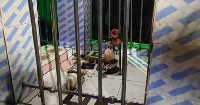 5c5f4079-f06d-4d42-9ede-f6055c0888fa