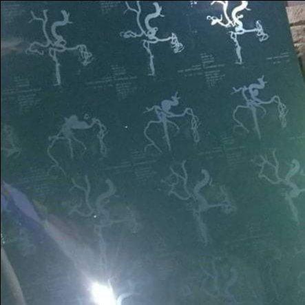 5cd279f9-a0a7-4740-89de-5c2b94446207