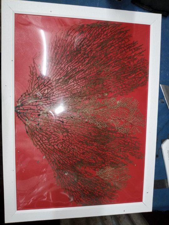 5f236b83-7395-4c8d-9889-fac8b945af70