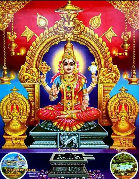 65534ff6-e996-4416-8cc9-aab005df0575