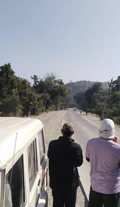 74c3fd88-8259-4e6f-a7c6-94aedd66e4d6