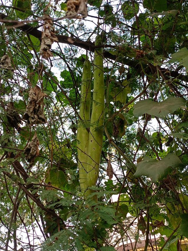 7af3c0f9-b4a6-4f83-8a76-2bc83b38a282