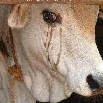 967a25a8-199f-4a83-8a18-46167a781b55