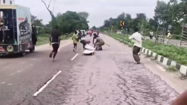 99cc6a11-07ff-40c8-899a-0e76243d97e4