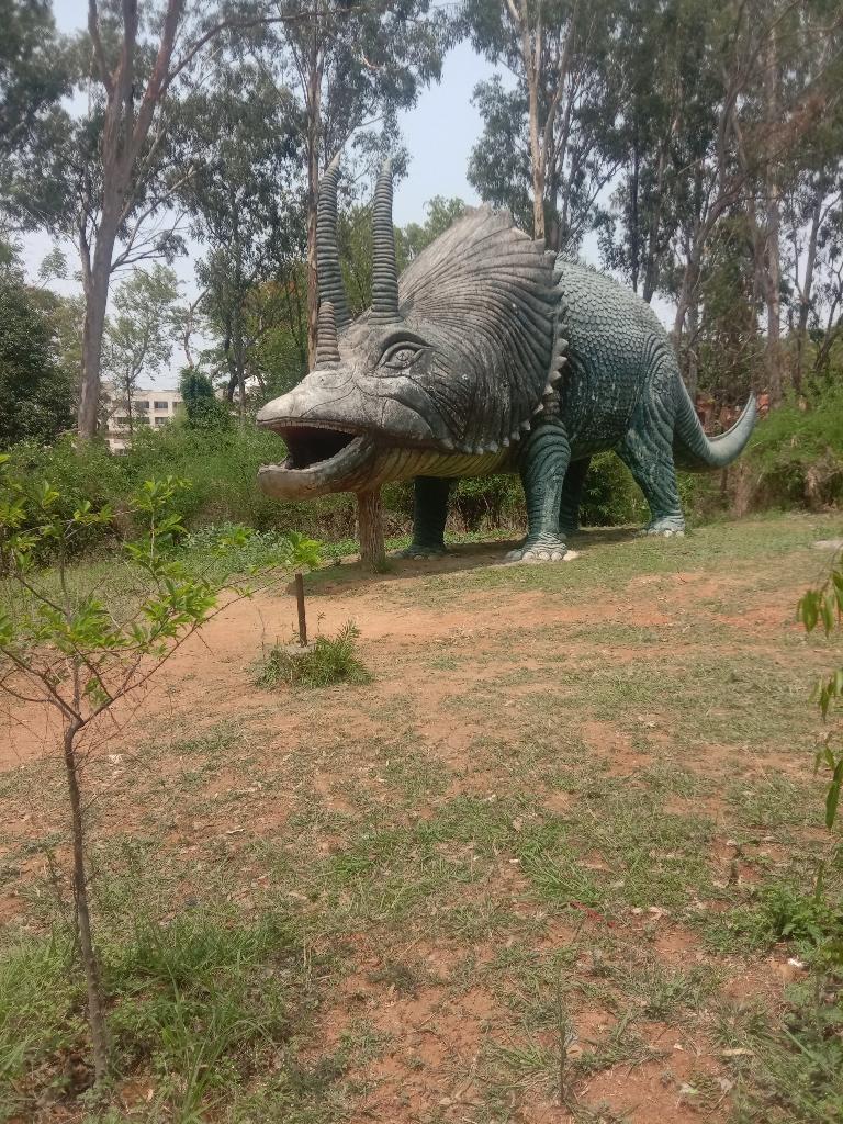 Hazaribagh park behtarin park