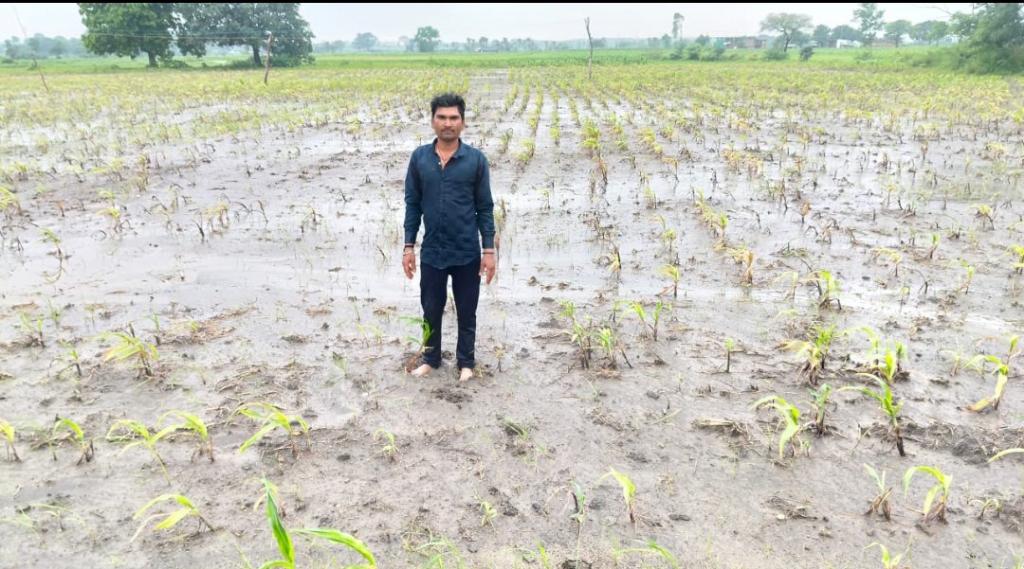 bb5c9482-4b55-4a95-b493-b78db471911c