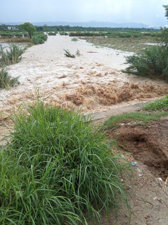 aed82d78-c601-4702-b1cd-35261765f451