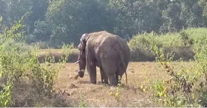 31dccb1b-8b55-400f-8287-fd560769cb50