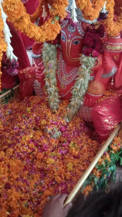 5728afc9-1391-4aee-ae9b-cf2b3b1e7b43