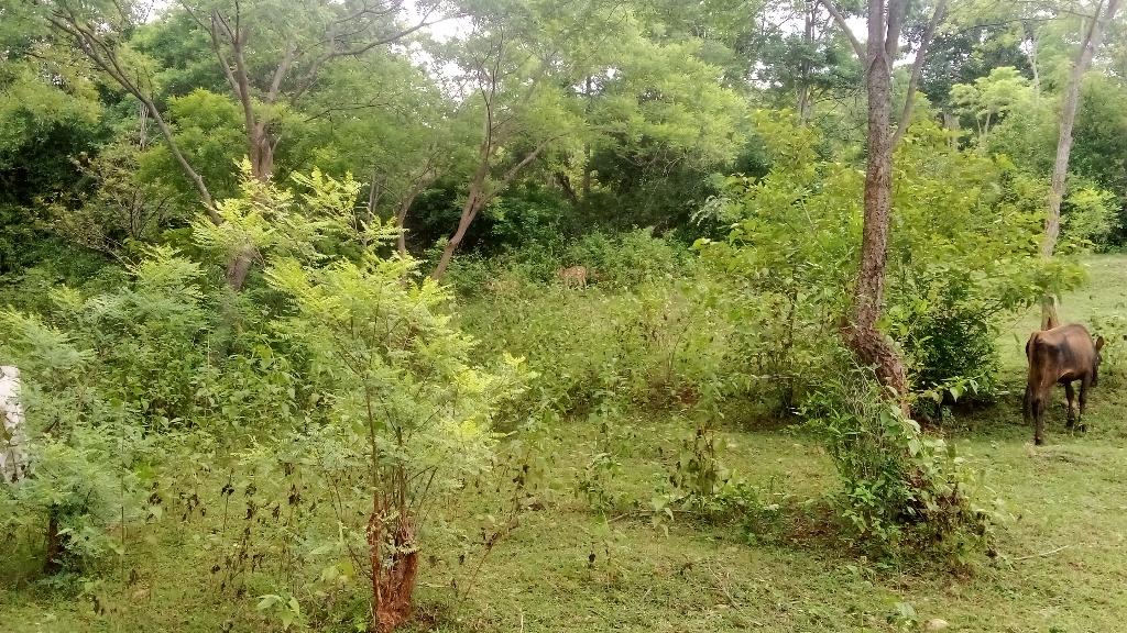 53f31127-8a13-4b94-9b24-fba59dee6d13