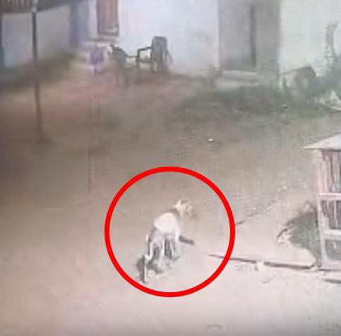 407d149f-2c63-4575-9389-1f9c200f85c6