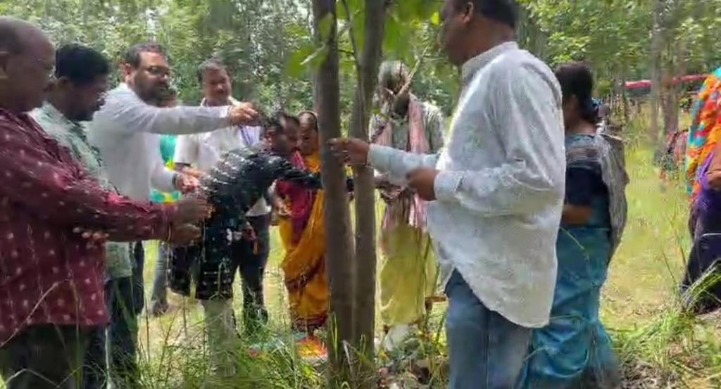 731e6bd1-5a5e-4076-ac9b-d09132f76310