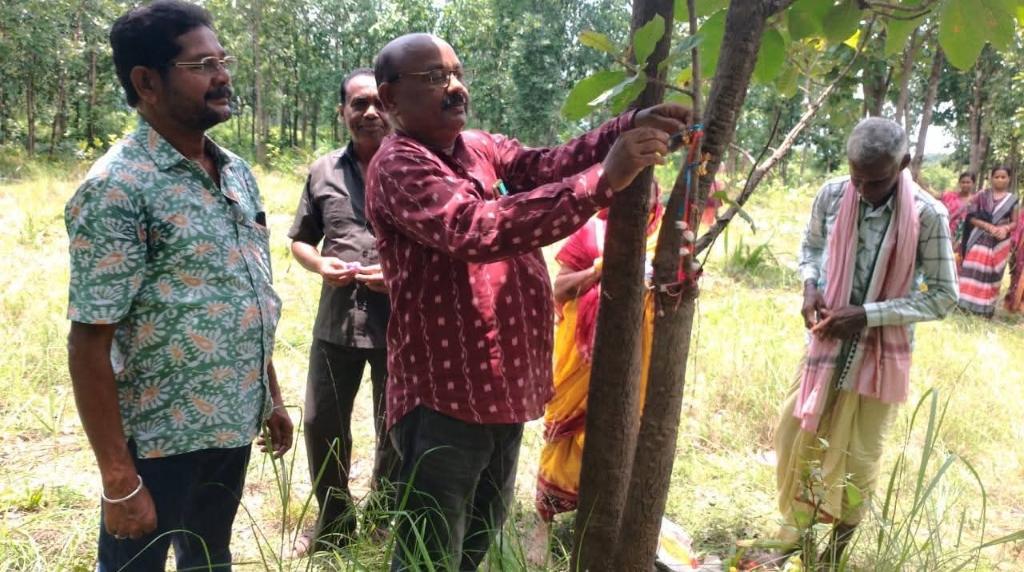 39944ff5-35b8-434a-86a1-7a2ddb888cb2