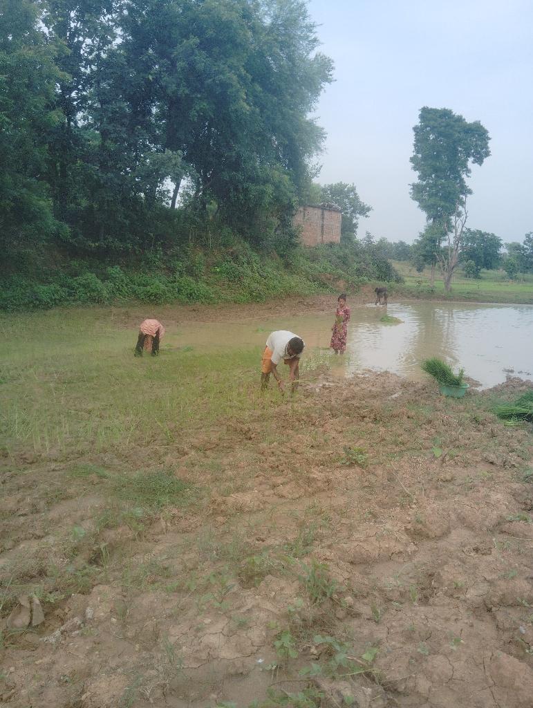 bf47abfa-b1df-4c5a-bafe-801ff4634b71