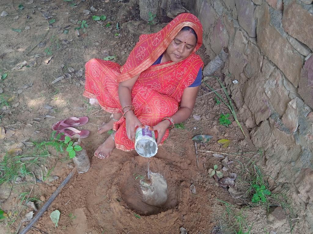 0ed65bf8-3c7d-4530-9c31-7454c66b2510