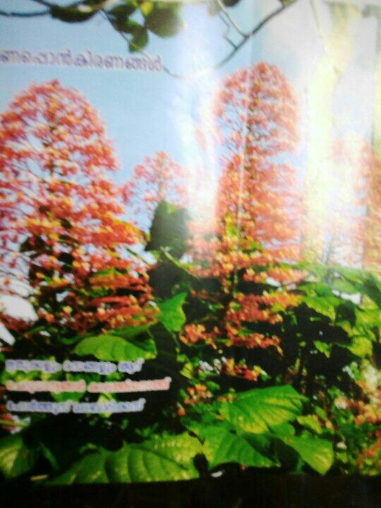 47e3c26e-f947-4730-9f9b-bd6e8d39b883