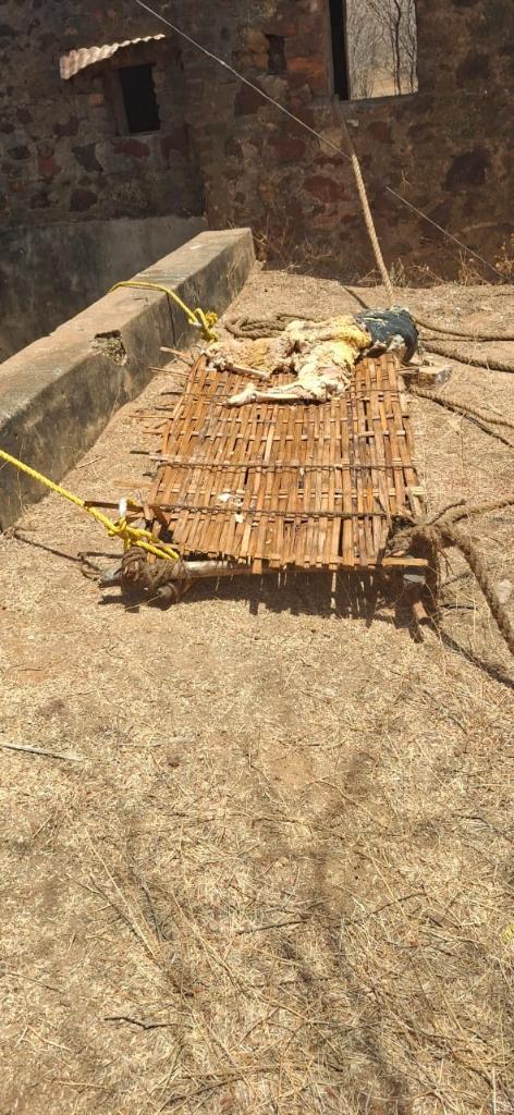 f96dbdf2-7e8c-48a9-828a-30b1ba6b39ff