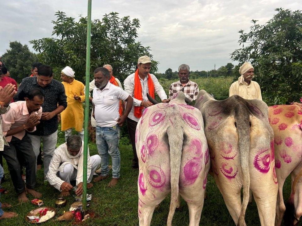 60a9499b-9e0d-4323-9d13-ed327b2732ed