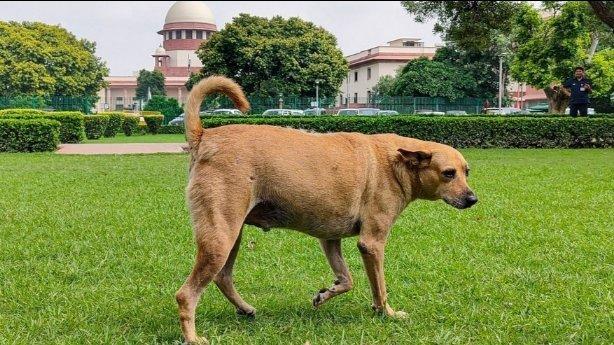 69d31e8f-ab7b-49a6-83a5-7546d2fef797