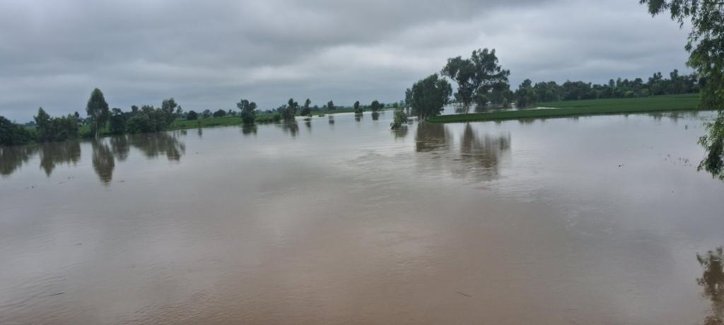 160a3c7f-60d0-414b-9fa7-26ace9a5b736