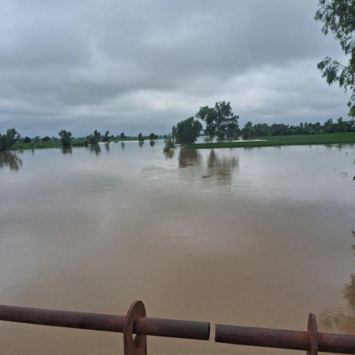 7b8d7e89-ce51-4b07-8725-4f1b2fd6836b