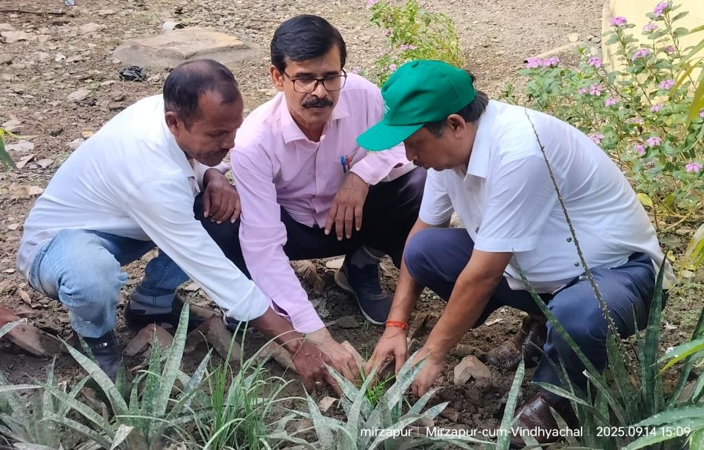 1a99a5ca-6acb-4310-b973-ed77ec98c9f6